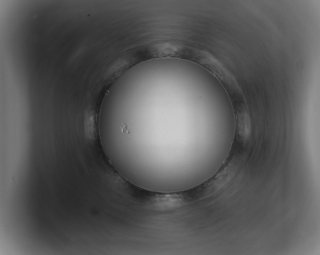 X0000101700378200807171520