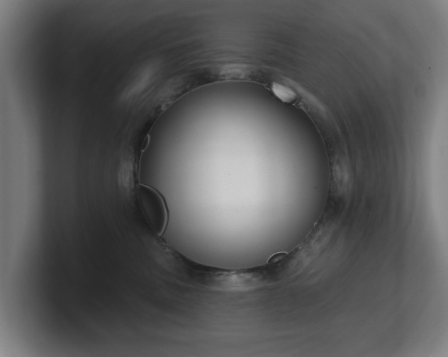 X0000101700379200807171520