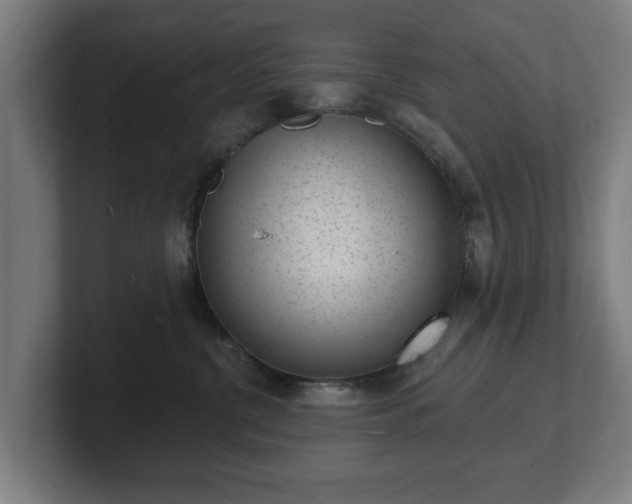 X0000101700380200807171520