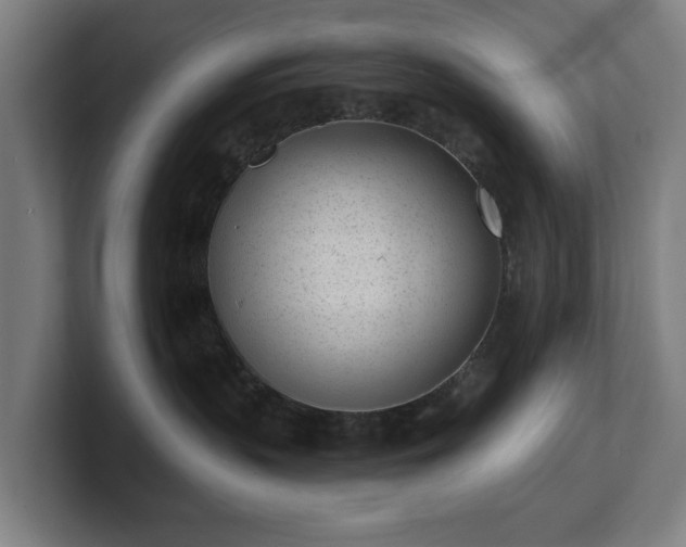 X0000101700383200807171520