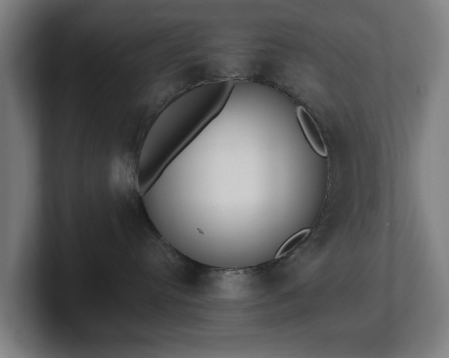 X0000101700384200807171520