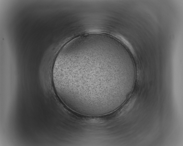 X0000101700385200807171519