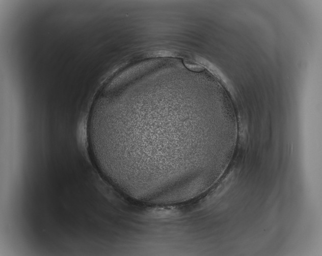 X0000101700386200807171519