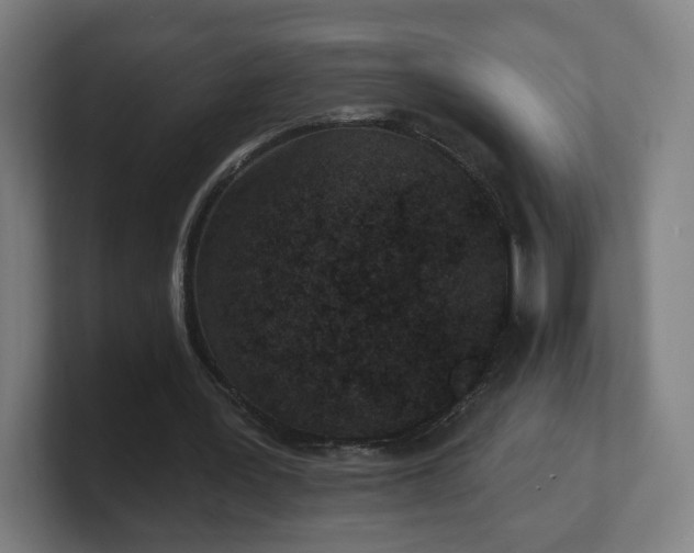 X0000101700387200807171519