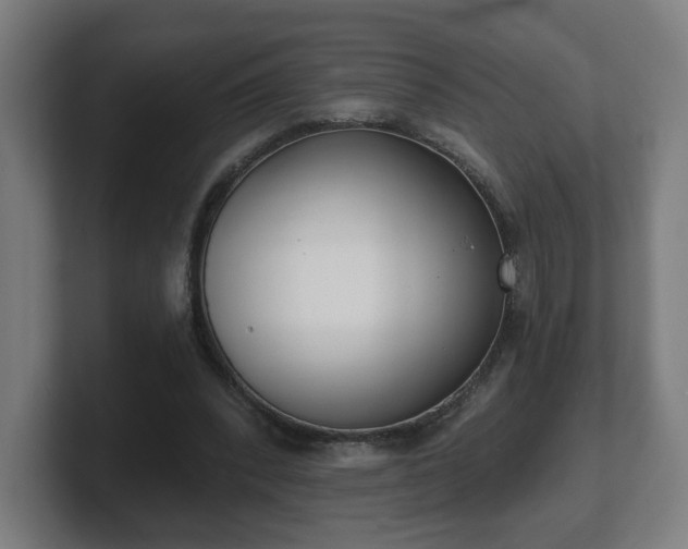 X0000101700392200807171519