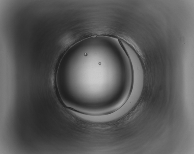 X0000101700393200807171519