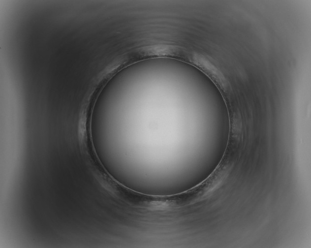 X0000101700394200807171519