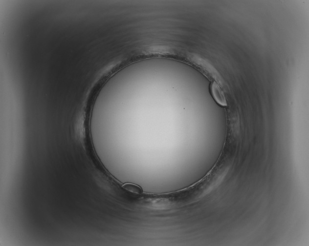 X0000101700395200807171519