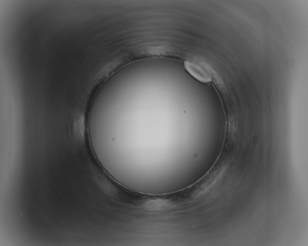 X0000101700397200807171519