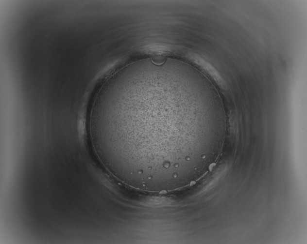 X0000101700399200807171519