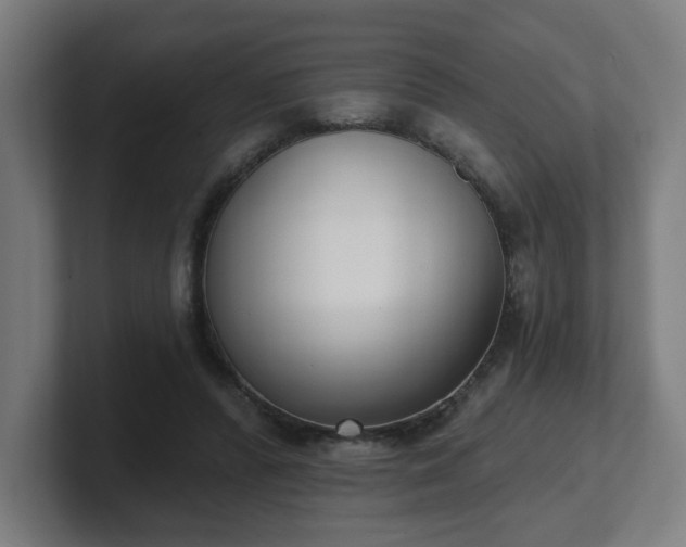 X0000101700400200807171519