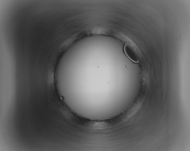 X0000101700401200807171519