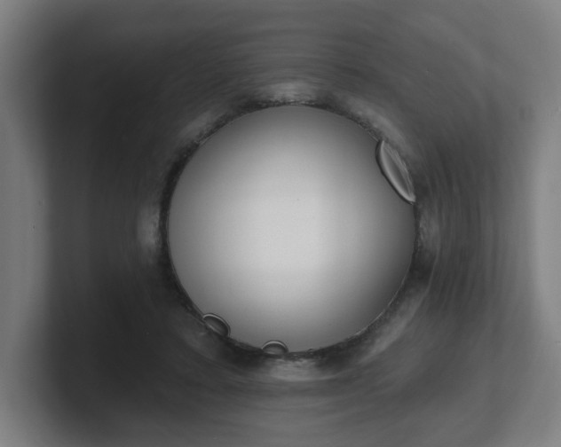 X0000101700403200807171519