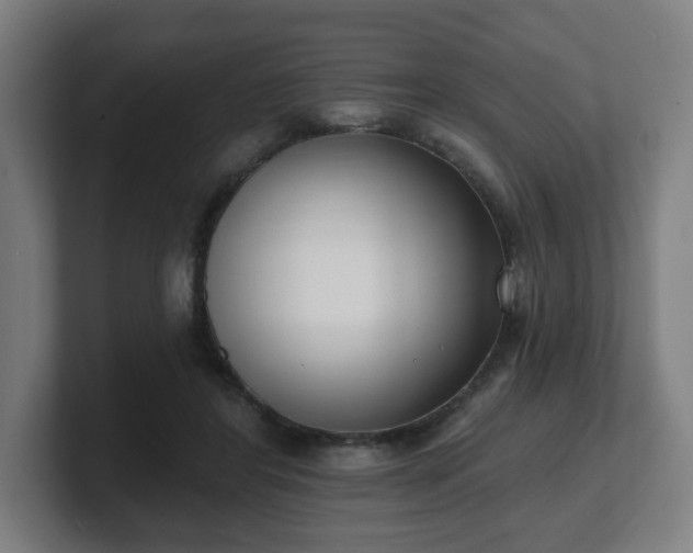 X0000101700404200807171519