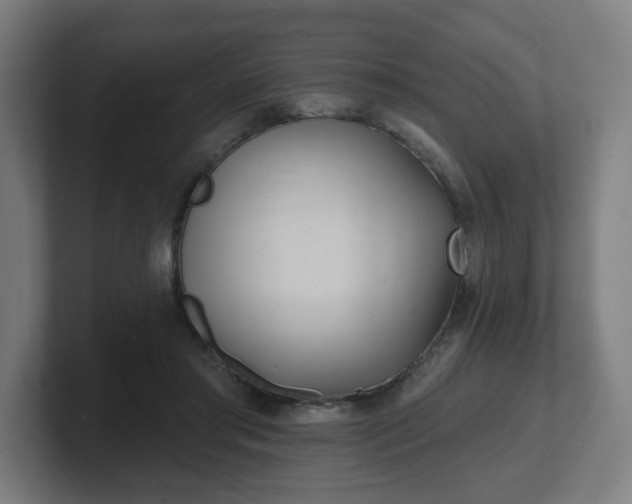 X0000101700405200807171519