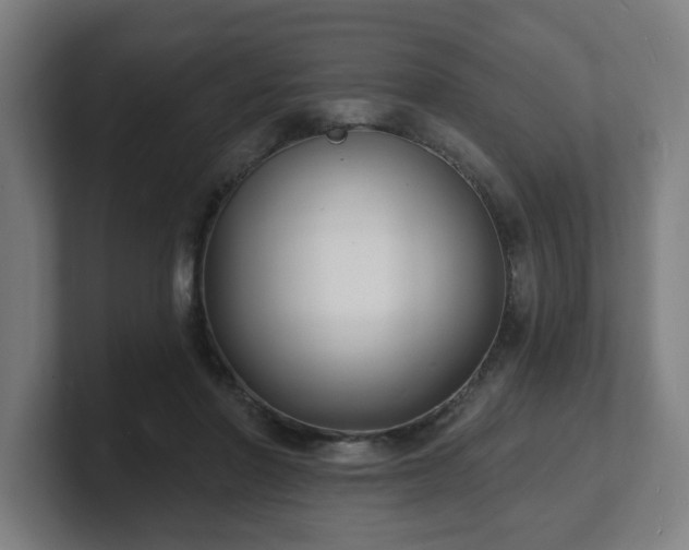 X0000101700406200807171519