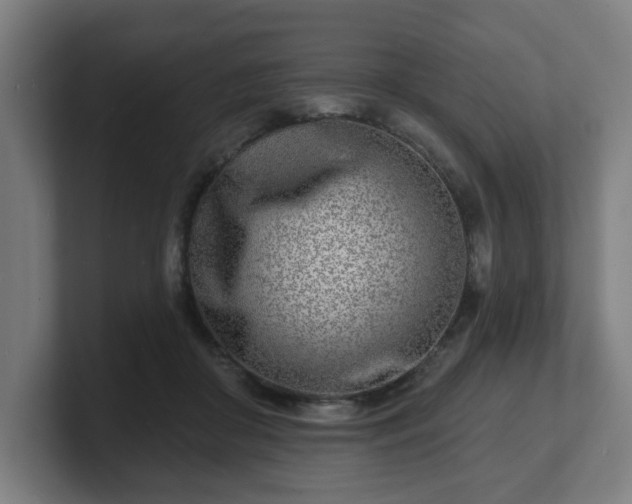 X0000101700410200807171519