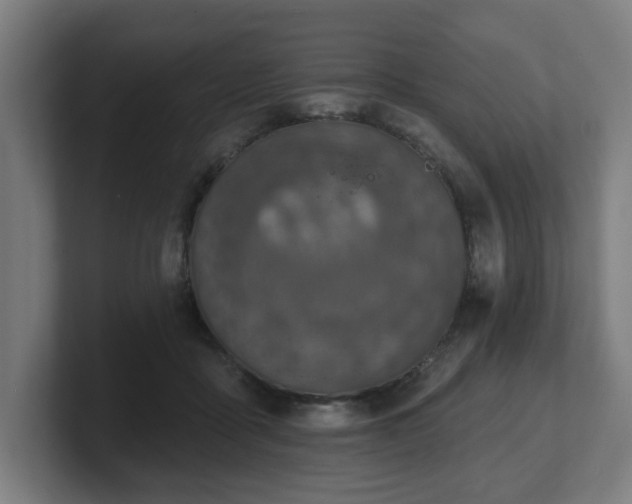 X0000101700411200807171519