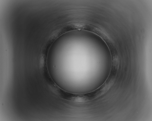 X0000101700412200807171519