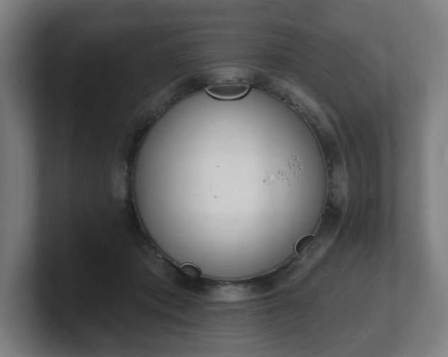 X0000101700413200807171519