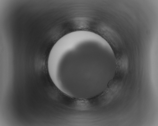 X0000101700415200807171519