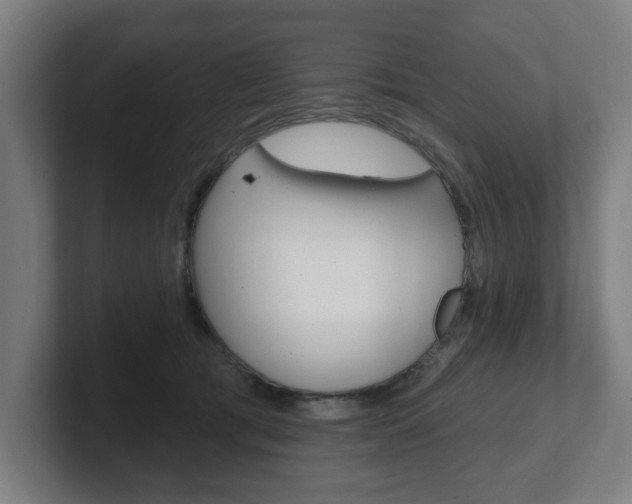 X0000101700417200807171519