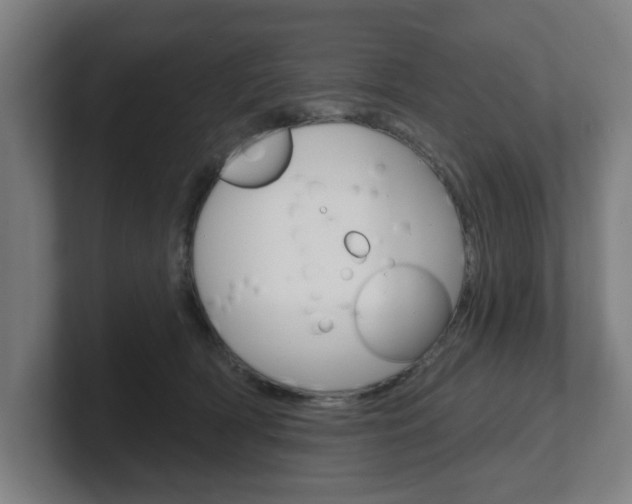 X0000101700418200807171519