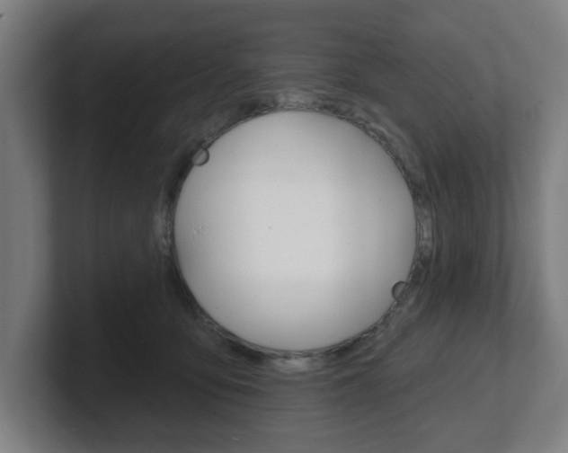 X0000101700419200807171519