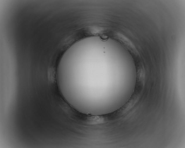 X0000101700421200807171519