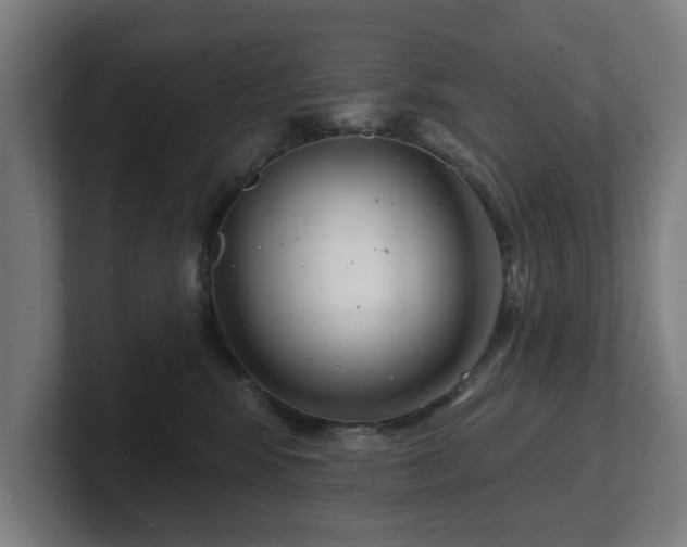 X0000101700424200807171519