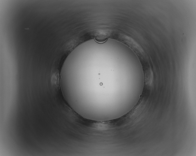 X0000101700425200807171518