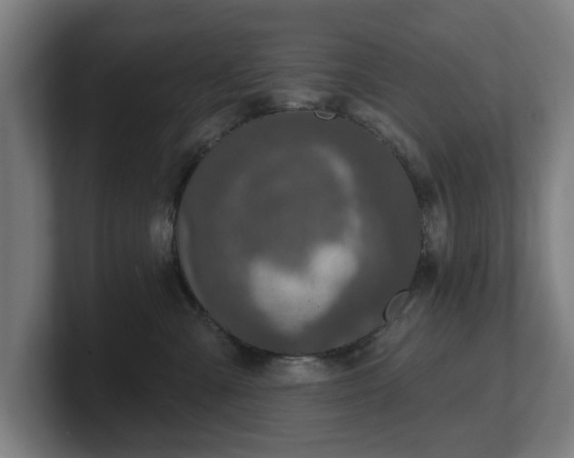 X0000101700427200807171518