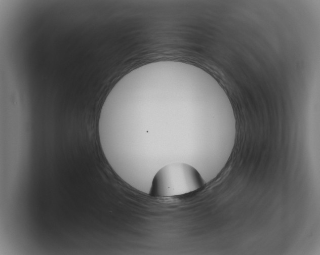 X0000101700429200807171518