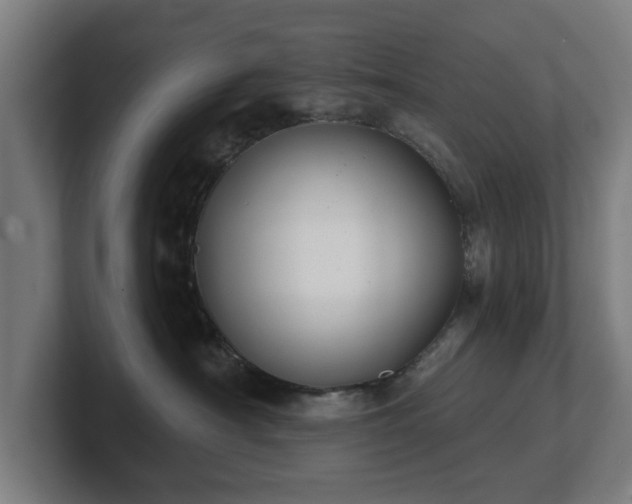 X0000101700430200807171518