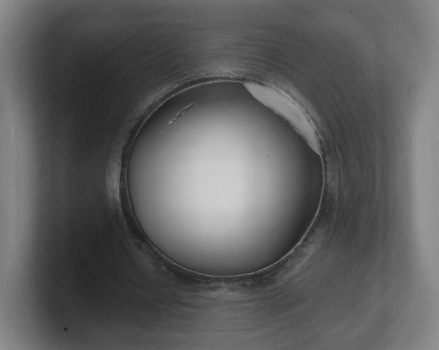 X0000101700434200807171518