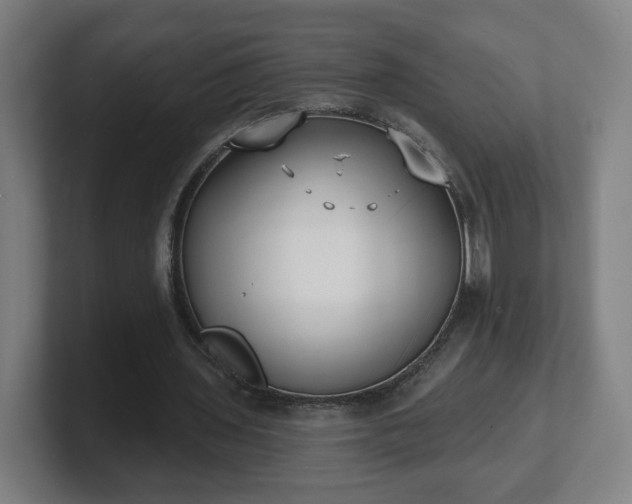 X0000101700435200807171518