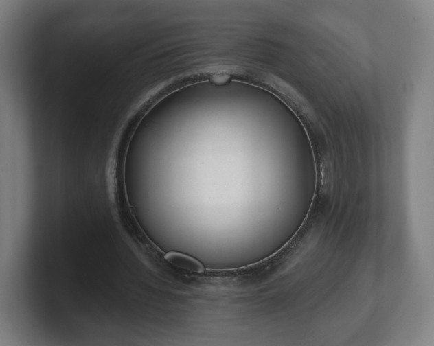 X0000101700436200807171518