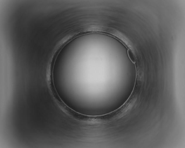 X0000101700437200807171518