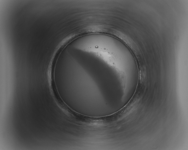 X0000101700438200807171518