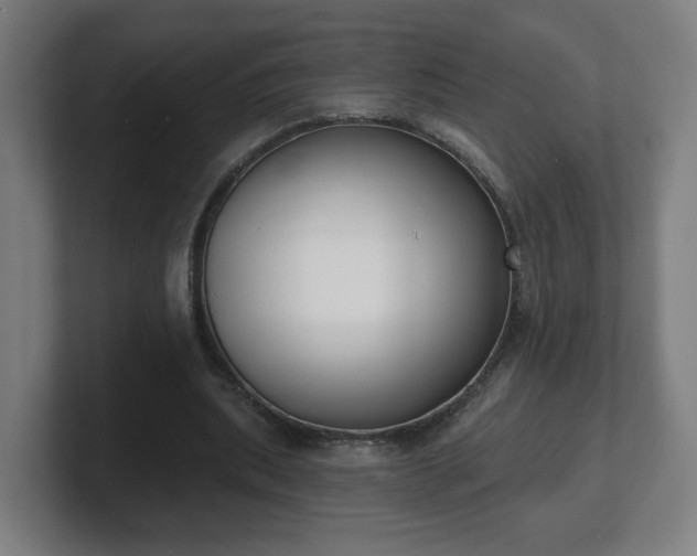 X0000101700439200807171518