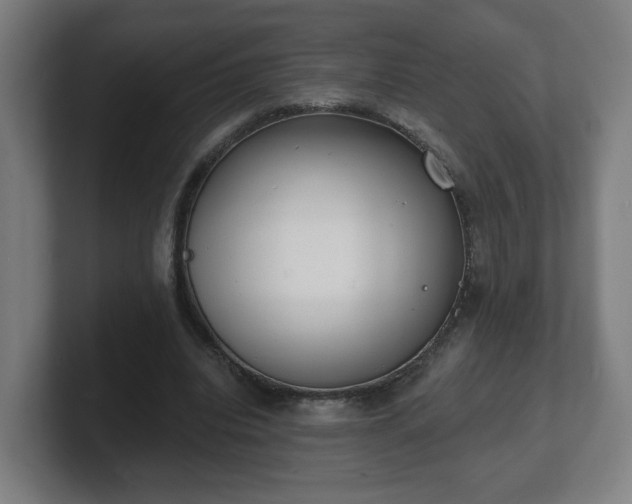 X0000101700440200807171518