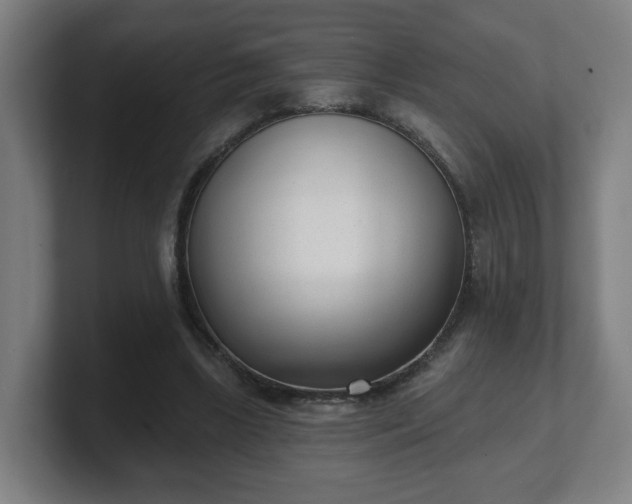 X0000101700443200807171518