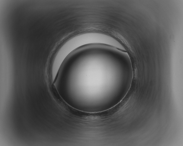 X0000101700444200807171518