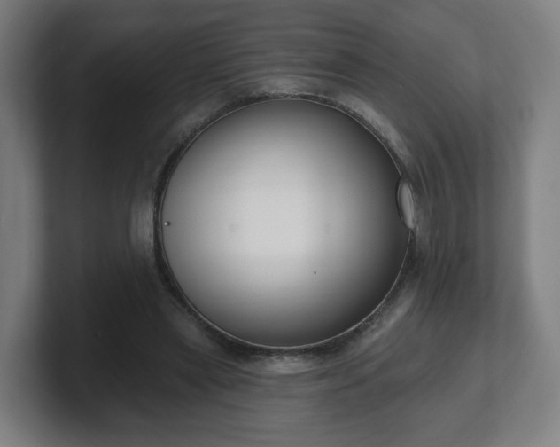 X0000101700445200807171518