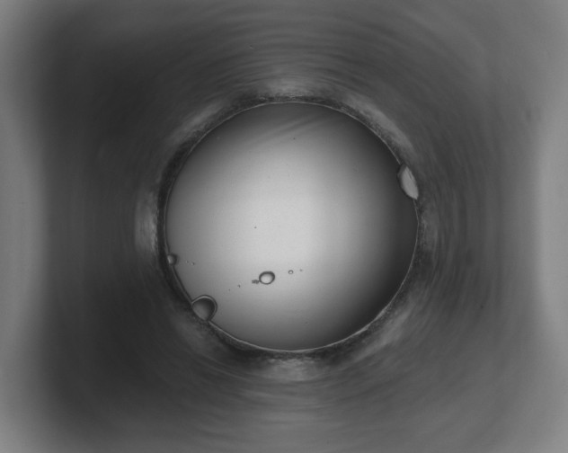 X0000101700446200807171518