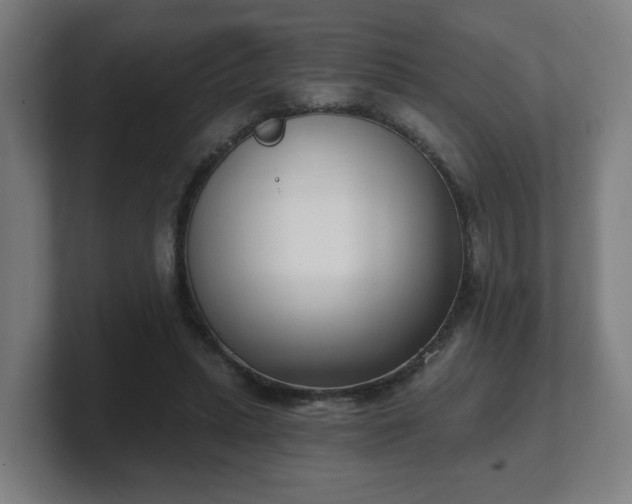 X0000101700447200807171518