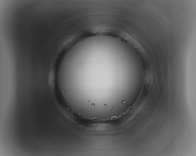 X0000101700448200807171518