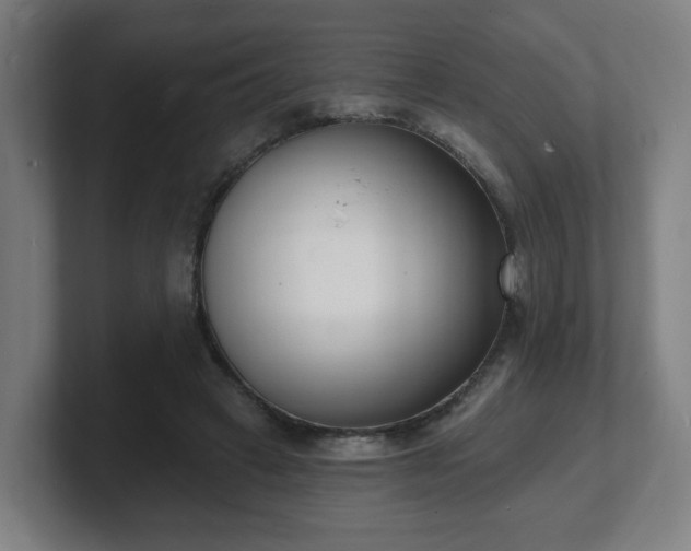 X0000101700449200807171518