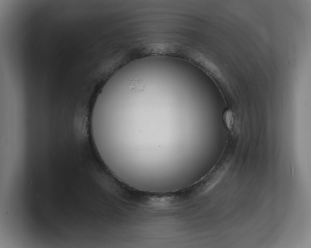 X0000101700450200807171518