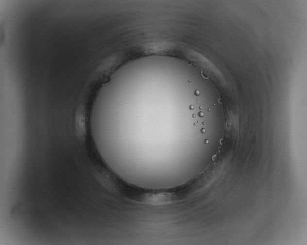 X0000101700452200807171518